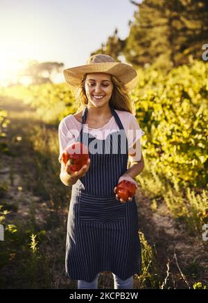 Il suo tempo di raccolta. Una giovane donna che giocolano i peperoni rossi in una fattoria. Foto Stock