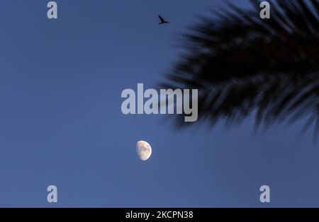 La luna sorge sulla città di Deir al-Balah nella striscia centrale di Gaza, venerdì 15 ottobre 2021. (Foto di Sameh Rahmi/NurPhoto) Foto Stock