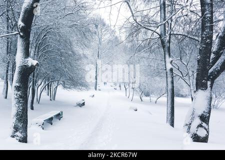 Mattina nel parco della città. Inverno innevato bianco, alberi innevati e panchine Foto Stock