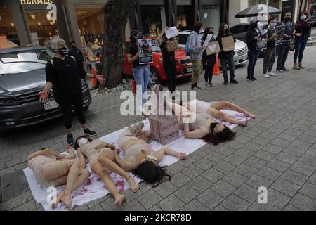 Attivisti dell'organizzazione Animal Save Movement Mexico, si esibiscono al di fuori del negozio di lusso Hermès, situato a Polanco, Città del Messico, contro la commercializzazione di articoli e capi di abbigliamento realizzati in pelle di coccodrillo e altri animali in questo negozio. La protesta si è svolta non solo in Messico, ma contemporaneamente a Londra, in Francia e in altri paesi europei per chiedere la fine della violenza contro i coccodrilli. (Foto di Gerardo Vieyra/NurPhoto) Foto Stock