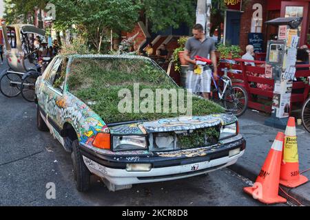 La Garden Car è riempita di terreno e piante da volontari come progetto comunitario per recuperare l'ambiente nel mercato Kensington di Toronto a Toronto, Ontario, Canada, il 29 agosto 2010. (Foto di Creative Touch Imaging Ltd./NurPhoto) Foto Stock
