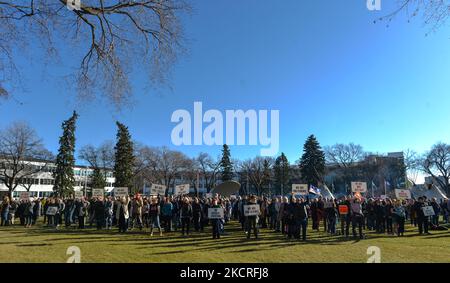 Centinaia di Albertani si sono riuniti durante la protesta "stare insieme contro i vaccini obbligatori" contro i mandati di vaccini forzati presso i motivi legislativi dell'Alberta, unendosi a un campo di "sit-in" dei membri delle prime Nazioni e dei loro sostenitori che protestano fin dall'inizio di ottobre, Sensibilizzare le comunità delle prime Nazioni in Canada sulle questioni che devono affrontare. Domenica 24 agosto 2021, in Alberta Legislature Grounds, Edmonton, Alberta, Canada. (Foto di Artur Widak/NurPhoto) Foto Stock