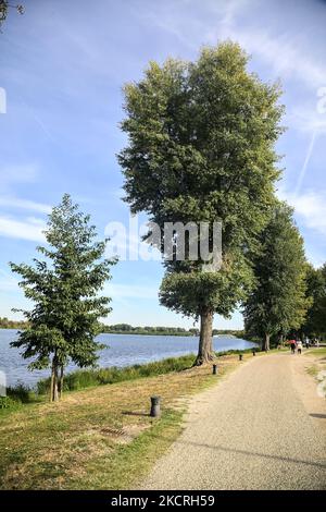 Percorso in un parco sulla riva del lago al tramonto Foto Stock