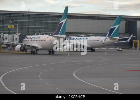 Aerei della WestJet Airlines visti all'aeroporto internazionale YYC di Calgary. Lunedì 25 ottobre 2021, all'aeroporto internazionale di Calgary, Calgary, Alberta, Canada. (Foto di Artur Widak/NurPhoto) Foto Stock