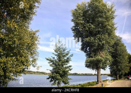 Percorso in un parco sulla riva del lago al tramonto Foto Stock