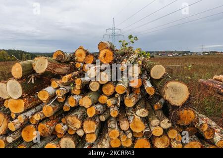 Pila di tronchi di legno nel luogo di sgombrare una vasta area di alberi è visto a Danzica Kielpino Gorne, Polonia il 17 ottobre 2021 (Foto di Michal Fludra/NurPhoto) Foto Stock