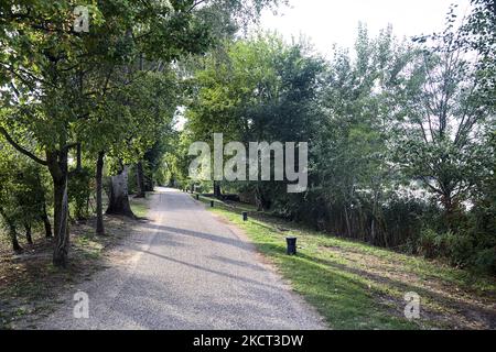 Percorso in un parco sulla riva del lago al tramonto Foto Stock