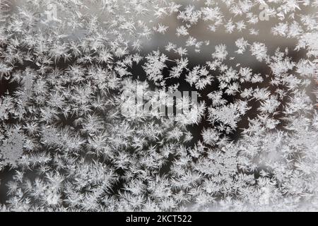Modello di gelo su una finestra di vetro dopo una tempesta di neve invernale a Toronto, Ontario, Canada il 06 gennaio 2010. (Foto di Creative Touch Imaging Ltd./NurPhoto) Foto Stock