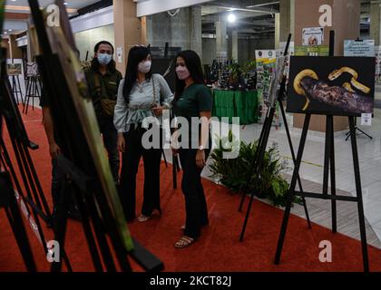 I visitatori osservano un'opera fotografica alla mostra sulla vita selvaggia al Boxies123 Mall di Bogor, West Java, Indonesia, il 4 novembre 2021. (Foto di Adriana Adie/NurPhoto) Foto Stock