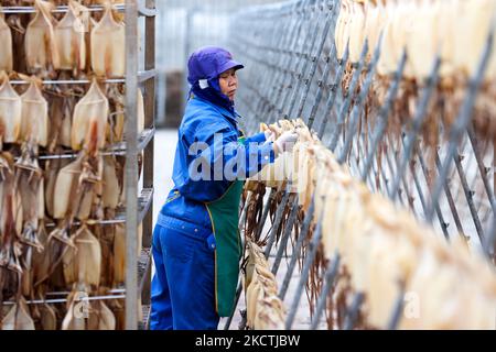 ZHOUSHAN, CINA - 5 NOVEMBRE 2022 - Un operaio raccoglie calamari secchi in una fabbrica di lavorazione di prodotti alimentari a base di pesce a Zhoushan, Zhejiang provin della Cina orientale Foto Stock