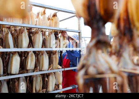 ZHOUSHAN, CINA - 5 NOVEMBRE 2022 - Un operaio raccoglie calamari secchi in una fabbrica di lavorazione di prodotti alimentari a base di pesce a Zhoushan, Zhejiang provin della Cina orientale Foto Stock