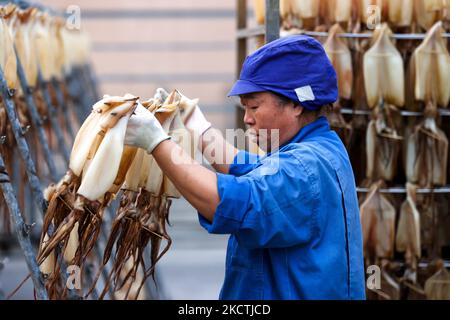 ZHOUSHAN, CINA - 5 NOVEMBRE 2022 - Un operaio raccoglie calamari secchi in una fabbrica di lavorazione di prodotti alimentari a base di pesce a Zhoushan, Zhejiang provin della Cina orientale Foto Stock