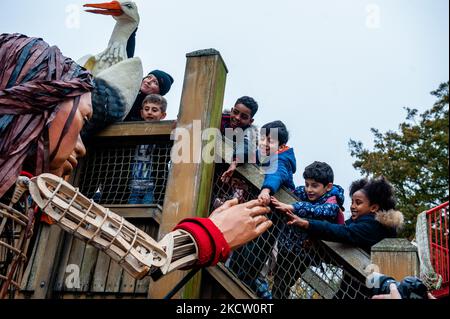 Gruppi di bambini stanno cercando di toccare la mano del burattino gigante "Little Amal", una bambina siriana di nove anni e alta oltre 11 metri, mentre cammina all'interno del parco in miniatura, Madurodam, all'Aia, il 15th novembre 2021. (Foto di Romy Arroyo Fernandez/NurPhoto) Foto Stock