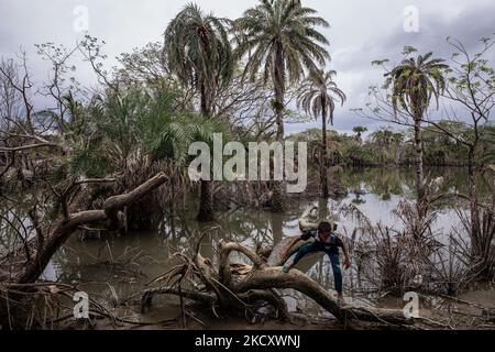 Un paesaggio di Shatkhira - dopo essere stato colpito dal recente ciclone Amphan, vicino alla zona costiera. Il Bangladesh, per la sua posizione geografica, è uno dei paesi vulnerabili agli effetti del cambiamento climatico. Le persone che si trovano nelle vicinanze della zona costiera soffrono ogni anno di cicloni e di altre catastrofi naturali. L'aumento del livello del mare sta anche creando un problema per la disponibilità di acqua potabile sicura, con l'aumento della salinità. (Foto di Mushfiqul Alam/NurPhoto) Foto Stock