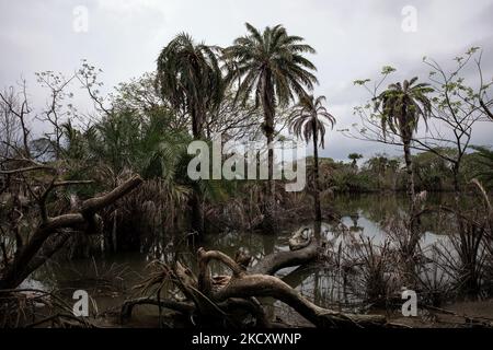 Un paesaggio di Shatkhira - dopo essere stato colpito dal recente ciclone Amphan, vicino alla zona costiera. Il Bangladesh, per la sua posizione geografica, è uno dei paesi vulnerabili agli effetti del cambiamento climatico. Le persone che si trovano nelle vicinanze della zona costiera soffrono ogni anno di cicloni e di altre catastrofi naturali. L'aumento del livello del mare sta anche creando un problema per la disponibilità di acqua potabile sicura, con l'aumento della salinità. (Foto di Mushfiqul Alam/NurPhoto) Foto Stock