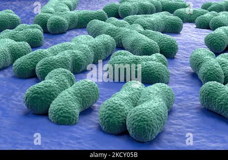 Strutture cromosomiche umane (23 + X, Y) costituite da proteine e da una singola molecola di DNA - Vista in primo piano illustrazione 3D Foto Stock