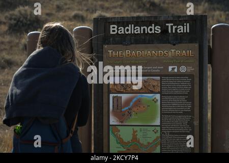 Un visitatore guarda la scheda informativa del Badlands Trail al Dinosaur Provincial Park, un sito patrimonio dell'umanità dell'UNESCO. Giovedì 7 ottobre 2021, a Iddesleigh, vicino a Brooks, Alberta, Canada. (Foto di Artur Widak/NurPhoto) Foto Stock