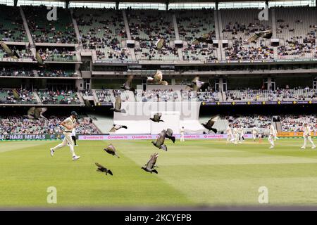 Una visione generale del gioco durante il giorno uno della terza prova nella serie Ashes tra Australia e Inghilterra a Melbourne Cricket Ground il 26 dicembre 2021 a Melbourne, Australia. (Solo per uso editoriale) Foto Stock