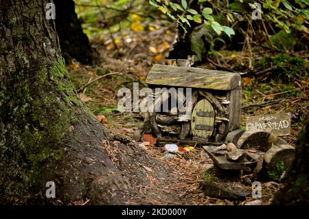 Case delle fate nascoste e porte nel bosco - Brodick Gardens, Isola di Arran, Scozia Foto Stock