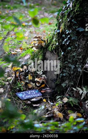 Case delle fate nascoste e porte nel bosco - Brodick Gardens, Isola di Arran, Scozia Foto Stock