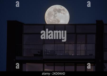 Full Wolf Moon nei Paesi Bassi illumina il cielo invernale limpido di gennaio. La prima luna piena del 2022, la Luna del lupo come sorge e illumina il cielo olandese in una zona residenziale vicino Eindhoven dietro case ed edifici. Altri nomi del satellite naturale terrestre in orbita intorno al pianeta sono Selene, Luna e Cynthia. La luna è il satellite più grande del sistema solare. Eindhoven, Paesi Bassi il 17 gennaio 2022 (Foto di Nicolas Economou/NurPhoto) Foto Stock