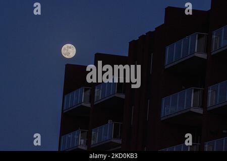 Full Wolf Moon nei Paesi Bassi illumina il cielo invernale limpido di gennaio. La prima luna piena del 2022, la Luna del lupo come sorge e illumina il cielo olandese in una zona residenziale vicino Eindhoven dietro case ed edifici. Altri nomi del satellite naturale terrestre in orbita intorno al pianeta sono Selene, Luna e Cynthia. La luna è il satellite più grande del sistema solare. Eindhoven, Paesi Bassi il 17 gennaio 2022 (Foto di Nicolas Economou/NurPhoto) Foto Stock