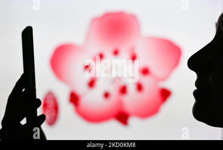 Immagine di una donna che tiene un telefono cellulare davanti al logo di China Airlines visualizzato sullo schermo di un computer. Martedì 12 gennaio 2021, a Edmonton, Alberta, Canada. (Foto di Artur Widak/NurPhoto) Foto Stock