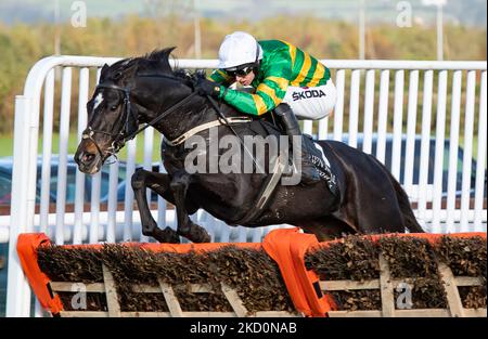 Belfast, Regno Unito. 05th Nov 2022. Cougar e il jockey Mark Walsh vincono l'ostacolo Value Cabs 3-Y-o per l'allenatore Padraig Roche e il proprietario Sig. J.P.McManus a Down Royal Racecourse. Credit: JTW Equine Images/Alamy Live News Foto Stock