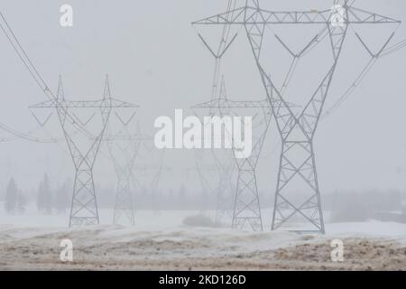 Rete di poli elettrici con fili visti a South Edmonton. Venerdì 21 gennaio 2021, a Edmonton, Alberta, Canada. (Foto di Artur Widak/NurPhoto) Foto Stock