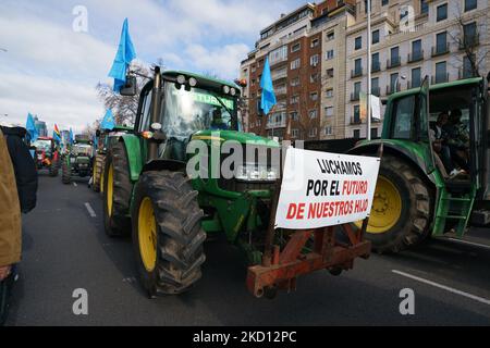 I trattori marciano alla mobilitazione in difesa della campagna e del mondo rurale e alla futura legge sulla protezione degli animali, in Plaza San Juan de la Cruz, il 23 gennaio 2022 a Madrid, Spagna. L'associazione Alma Rural ha chiamato la protesta sotto il nome di "Grande dimostrazione del mondo rurale" in risposta alla situazione subita dal settore primario e per aumentare la consapevolezza nella società circa la crisi e gli attacchi da diversi fronti che sostiene il campo e. le persone che lavorano nel settore. Inoltre, alla protesta hanno partecipato i settori e i gruppi interessati Foto Stock