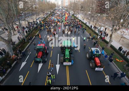 I trattori marciano alla mobilitazione in difesa della campagna e del mondo rurale e alla futura legge sulla protezione degli animali, in Plaza San Juan de la Cruz, il 23 gennaio 2022 a Madrid, Spagna. L'associazione Alma Rural ha chiamato la protesta sotto il nome di "Grande dimostrazione del mondo rurale" in risposta alla situazione subita dal settore primario e per aumentare la consapevolezza nella società circa la crisi e gli attacchi da diversi fronti che sostiene il campo e. le persone che lavorano nel settore. Inoltre, alla protesta hanno partecipato i settori e i gruppi interessati Foto Stock