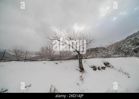 Le montagne e le città di tutta la Grecia sono innevate, a Evia, in Grecia, il 23 gennaio 2022; A Evia, Grecia, il 23 gennaio 2022. (Foto di Maria Chourdari/NurPhoto) Foto Stock