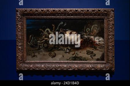 Una foto della testa di Medusa, di Peter Paul Rubens e Frans Snyders (1617-1618) in mostra al Rijksmuseum, come parte del Creepy crawlies exhi Foto Stock