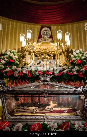 Le reliquie di San Corrado, patrono della città di Molfetta, sono esposte nella Cattedrale di Molfetta in occasione della festa di San Corrado del 31 gennaio 2022. Domenica 30 gennaio alle ore 19,00, durante la Santa Messa nella Cattedrale di Molfetta, busto reliquiario del Santo eremita, San Corrado, patrono della città di Molfetta, È stato intronizzato per la prima volta nella cappella dedicata ai Santi Pietro e Paolo nella Cattedrale alla presenza del Presidente e dei membri del Comitato Patronale delle Feste, del delegato episcopale Don Pasquale Rubini e dei fedeli tutti. Le reliquie di San C Foto Stock