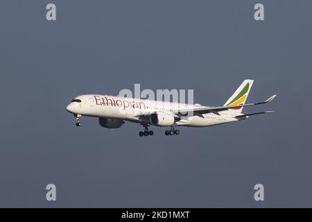 Ethiopian Airlines amplia il servizio charter con il nuovo Boeing 737-800 Business Jet – GSA Italia
