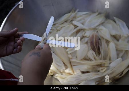 Benedizione delle bucce di mais con due coltelli a forma di croce per la preparazione dei tamales utilizzati dagli abitanti di San Francisco Culhuacán a Città del Messico, in occasione del giorno delle candele, che celebra il periodo che chiude il ciclo delle feste natalizie all'interno della Chiesa Cattolica. Il tamale (dal Nahuatl tamalli, che significa avvolto) è un alimento messicano fatto di mais, ripieno di vari ingredienti, cucinato in un fascio di foglie vegetali che possono essere fatte di mais, di piantina, di canna, di peperoncino o di papatla. (Foto di Gerardo Vieyra/NurPhoto) Foto Stock