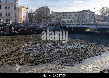 L'estrema secchezza della Dora Riparia, affluente del po, nella parte che passa a Torino. Dopo un periodo di siccità costante, il fiume po e il suo bacino hanno una portata d'acqua inferiore alla metà del normale. Le previsioni a lungo termine non indicano che a breve termine il tempo cambierà con le precipitazioni persistenti. La siccità non è un fenomeno insolito, ma la frequenza con cui si ripresenta negli ultimi anni sta diventando preoccupante anche per gli impatti che ha sugli animali, sulla flora e sulle attività agricole. (Foto di Mauro Ujetto/NurPhoto) Foto Stock