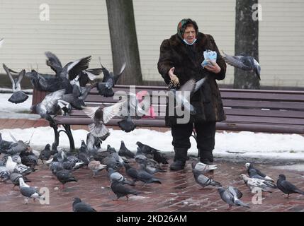 Una donna nutre piccioni nel centro di Kyiv, Ucraina 8 febbraio 2022. La vita quotidiana continua come al solito, nonostante le tensioni al confine con la Russia. (Foto di Str/NurPhoto) Foto Stock