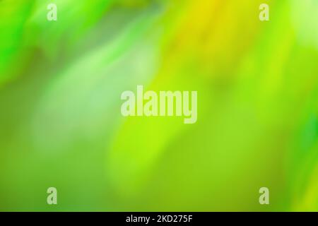 Acquerello colorato bellissimo sfondo astratto sfocato disegno. Acquerello sfocato fluido vivace multicolore vivace bokeh carta da parati. Foto Stock