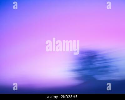 Misteriosa fata caduta offuscata boschiva foresta. Oscuro spaventoso movimento bokeh autunno foresta sfondo. Foto Stock