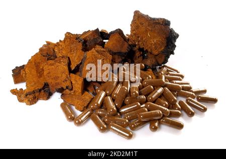 Chaga funghi con Capsule isolato su sfondo bianco - Nutrizione sana Foto Stock