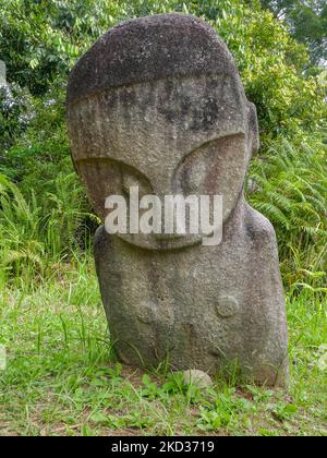 Vista isolata del misterioso megalito antico conosciuto come Tinoe nel Parco Nazionale di Lore Lindu, nella valle di Bada o Napu, nel Sulawesi Centrale, Indonesia Foto Stock