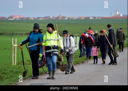 Hrusky, Repubblica Ceca. 05th Nov 2022. Nuovi alberi sono stati piantati tra Hrusky e Moravska Nova Ves villaggi per rinnovare viale distrutto da tornado l'anno scorso, Repubblica Ceca, 5 novembre 2022. Credit: Vaclav Salek/CTK Photo/Alamy Live News Foto Stock