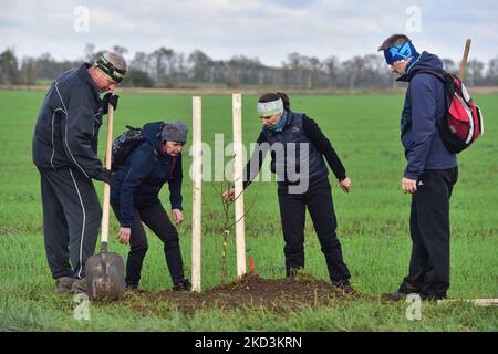 Hrusky, Repubblica Ceca. 05th Nov 2022. Nuovi alberi sono stati piantati tra Hrusky e Moravska Nova Ves villaggi per rinnovare viale distrutto da tornado l'anno scorso, Repubblica Ceca, 5 novembre 2022. Credit: Vaclav Salek/CTK Photo/Alamy Live News Foto Stock