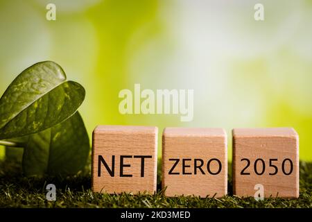 NET zero 2050, Environmental Concept, Un piano moderno e audace per ridurre le emissioni di gas a effetto serra nel mondo e l'inquinamento Foto Stock