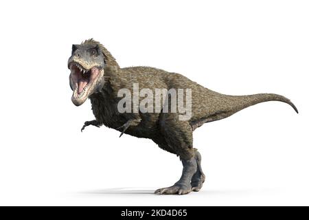 Tyrannosaurus rex dinosauro, illustrazione Foto Stock