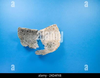 spezzata fetta della crosta di una pagnotta seminata con muffa blu isolata su fondo blu scuro Foto Stock