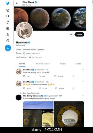 Pagina Twitter (5th Nov 2022) di Elon Musk, nuovo proprietario di Twitter Foto Stock