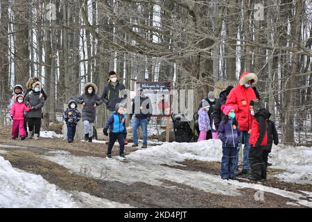 La gente cammina attraverso il sugarbush mentre visita una fattoria di sciroppo d'acero durante il Festival dello zucchero d'acero a Mount Albert, Ontario, Canada, il 05 marzo 2022. Il Festival dello zucchero d'acero celebra la produzione di sciroppo d'acero e i prodotti realizzati con sciroppo d'acero e partecipa a molte aziende agricole produttrici di sciroppo d'acero in Ontario e Quebec. Lo sciroppo d'acero è prodotto solo in Nord America. (Foto di Creative Touch Imaging Ltd./NurPhoto) Foto Stock