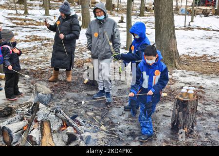 Persone che brinda marshmallows da un piccolo fuoco mentre visitano il sugarbush in una fattoria di sciroppo d'acero durante il Festival dello zucchero d'acero a Mount Albert, Ontario, Canada, il 05 marzo 2022. Il Festival dello zucchero d'acero celebra la produzione di sciroppo d'acero e i prodotti realizzati con sciroppo d'acero e partecipa a molte aziende agricole produttrici di sciroppo d'acero in Ontario e Quebec. Lo sciroppo d'acero è prodotto solo in Nord America. (Foto di Creative Touch Imaging Ltd./NurPhoto) Foto Stock